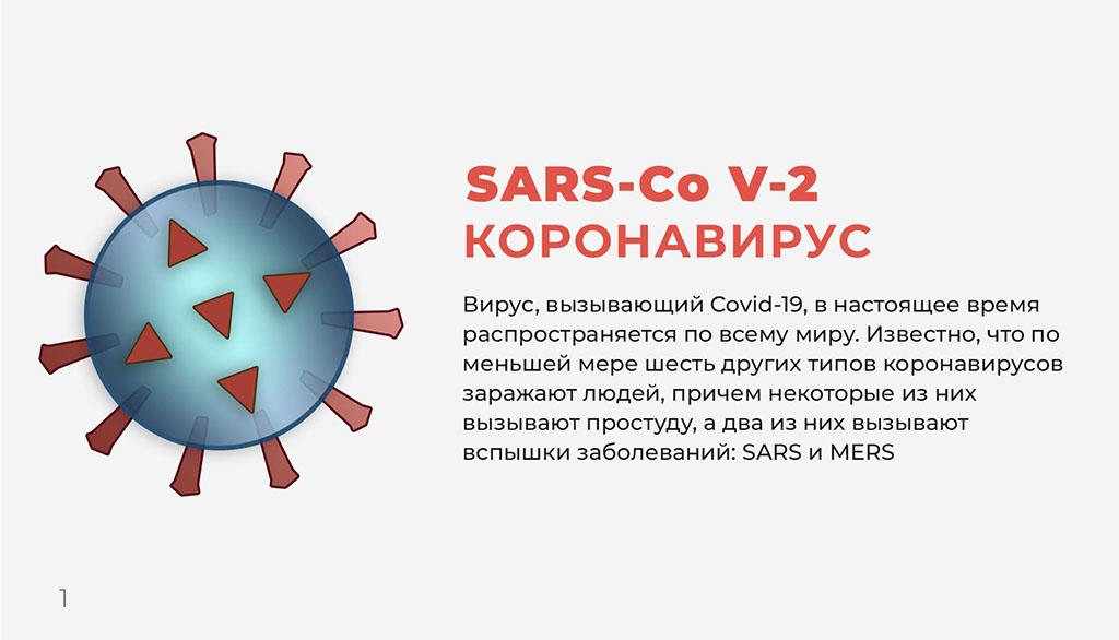 Что такое коронавирус? Инфографика
